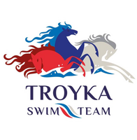 Логотип клуба Тройка